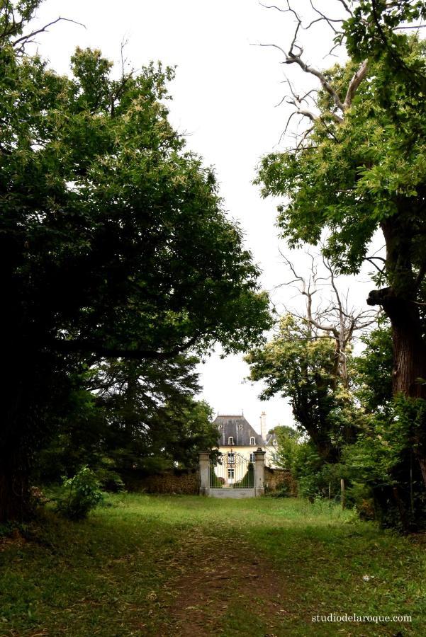 Domaine De La Briouse Bed & Breakfast Sanxay Exterior foto