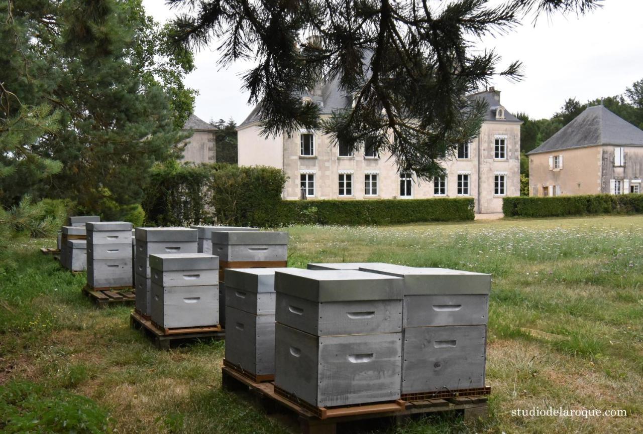 Domaine De La Briouse Bed & Breakfast Sanxay Exterior foto