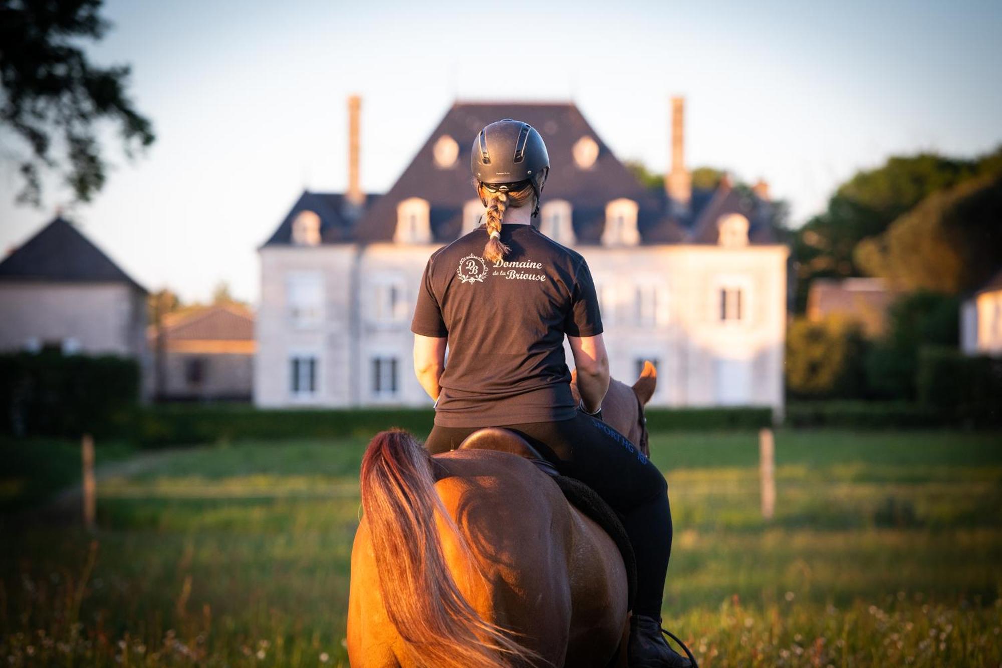 Domaine De La Briouse Bed & Breakfast Sanxay Exterior foto