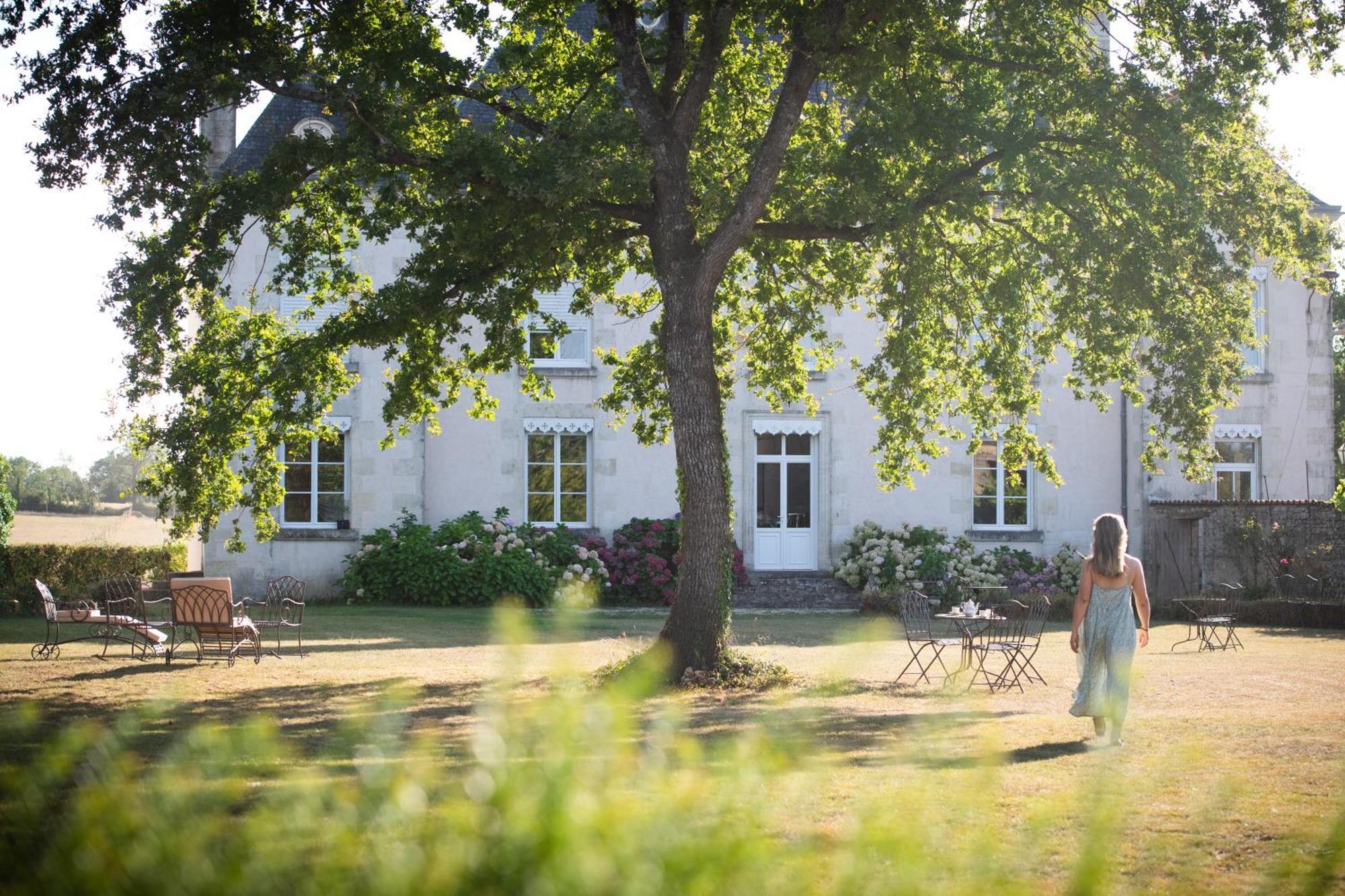 Domaine De La Briouse Bed & Breakfast Sanxay Exterior foto